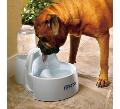 Smart Pet Bowls | Tractor Supply Co.