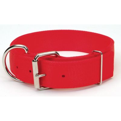 Retriever 1-3/4 in. By 24 in. Nylon Collar, Red at Tractor ...