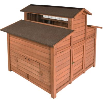 Shopping Drawer: Supplies and Information on How to Raise Backyard 
