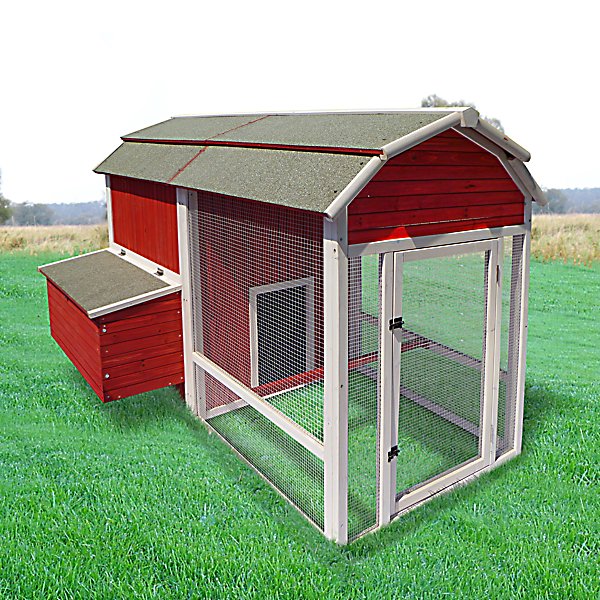 Precision Old Red Barn Chicken Coop, 8 Chicken Capacity | Braindrive