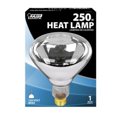 Reptile Habitat Heat Lamps & Bulbs