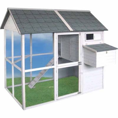 Reviews Advantek The Townhouse Chicken Coop