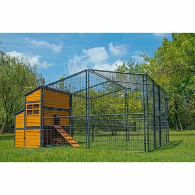 Producer's Pride Defender Chicken Coop, Up to 14 Chickens 