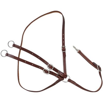 Western Martingales & Training Forks
