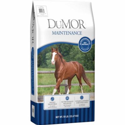 DuMor Equine