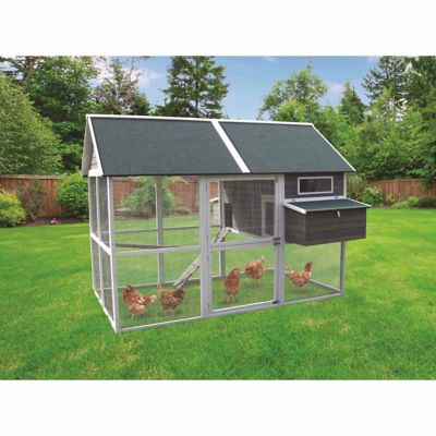 Innovation Pet Big Green Walk-In Hen House, Up to 18 ...
