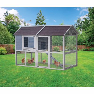 Innovation Pet Deluxe Farm House Chicken Coop, Up to 8 ...