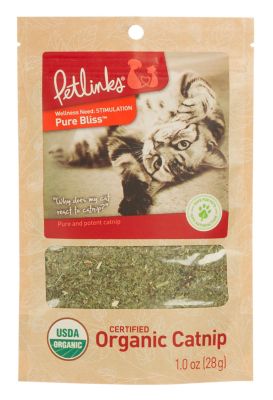 Catnip & Cat Grass
