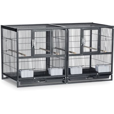Pet Bird Cages