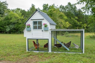 Chicken Coops, Pens & Nesting Boxes