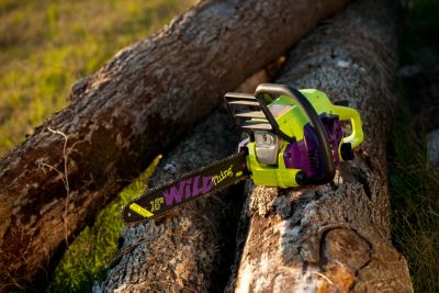 chainsaw maintenance