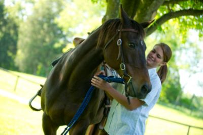 Buying & Selling Horses