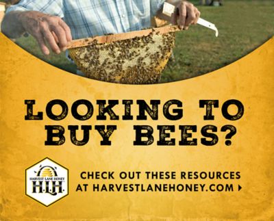 Find a Bee Supplier Beekeeping Tractor Supply Co.
