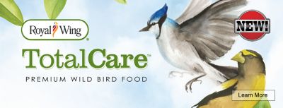 Backyard Bird Watching Know How Central Tractor Supply Co