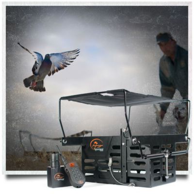 tractor supply sportdog