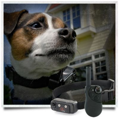 tractor supply sportdog