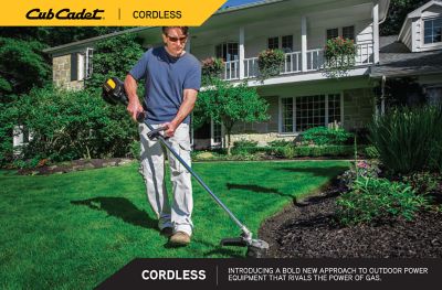 core weed eater battery