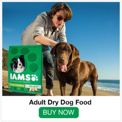 tractor supply iams dog food