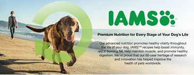 tractor supply iams dog food