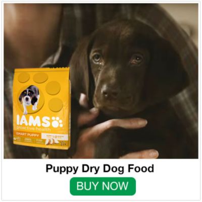 tractor supply iams dog food