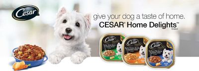 cesar cat food