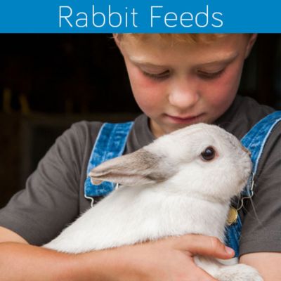 blue seal rabbit food near me