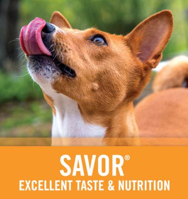 purina pro plan dog food tractor supply