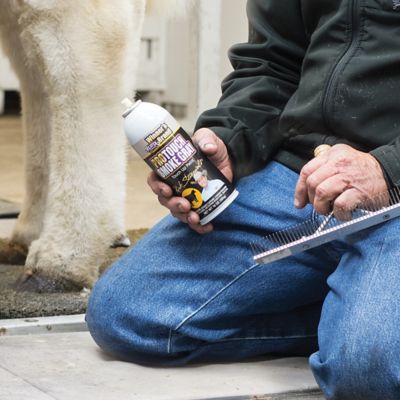 Horse and Livestock Show Supplies Tractor Supply Co.