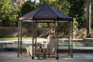 keeping a dog outside in a kennel