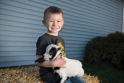Mini Silky Fainting Goats Tractor Supply Co