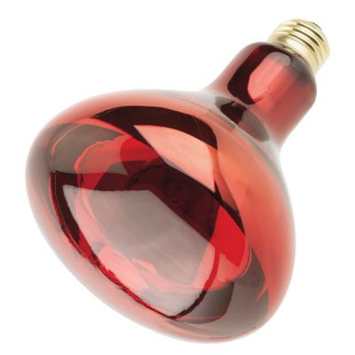  Westinghouse Lighting 250W R40 Red Heat Lamp Incandescent Light Bulb