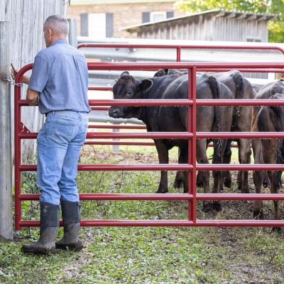 Fencing | Tractor Supply Co.