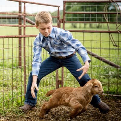 tractor supply wrangler jeans