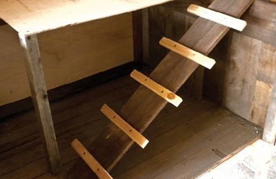 Make a chicken ladder