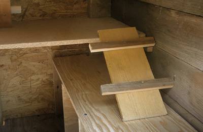 Build the interior chicken ladders
