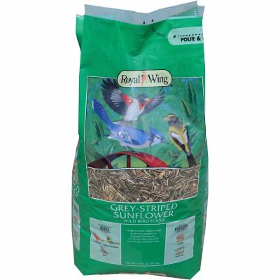 Scott Pet Striped Sunflower Wild Bird Seed, 5 lb. 