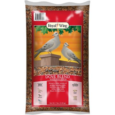 Morning Song Dove Food  7 lb. 
