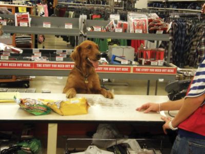 tractor supply pet clinic