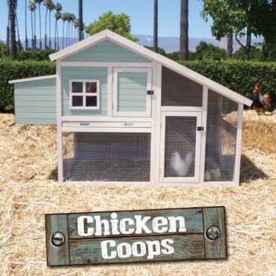 Chicken Coops