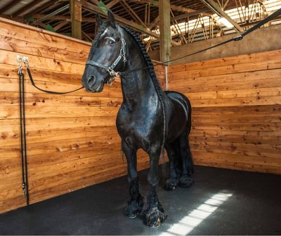 Horse Stall Mat Uses Tractor Supply Co