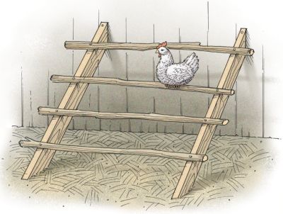 Build A Chicken Coop | Spring 2008 Out Here Magazine | Tractor Supply ...