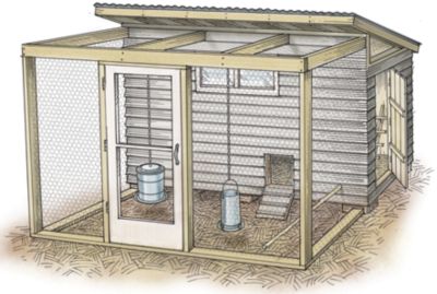 Build A Chicken Coop | Spring 2008 Out Here Magazine