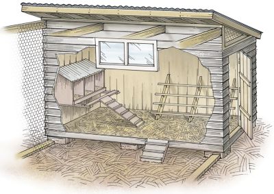 Build A Chicken Coop | Spring 2008 Out Here Magazine | Tractor Supply 