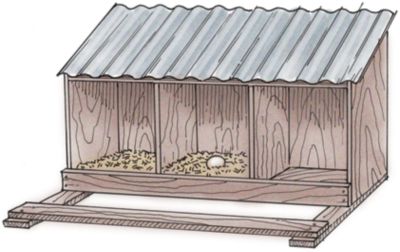 ... Chicken Coop | Spring 2008 Out Here Magazine | Tractor Supply Co