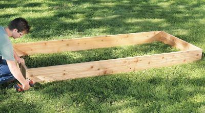 Man building a raised bed garden with lumber.