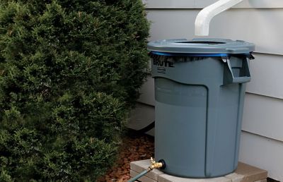 Build Your Own Eco-Friendly Rain Barrel