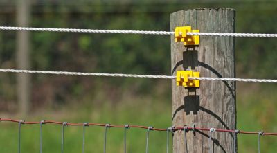 Electric Fence Guide Tractor Supply Co