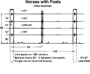 HOW TO BUILD A HORSE FENCE: A STEP BY STEP GUIDE