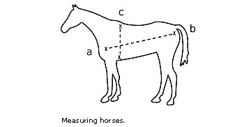 How to Calculate Horse Weight | Horse Care | Tractor ...