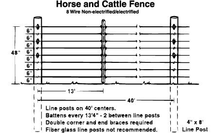 ELECTROBRAID #174; HORSE FENCE IS AMERICA'S #1 ELECTRIC HORSE